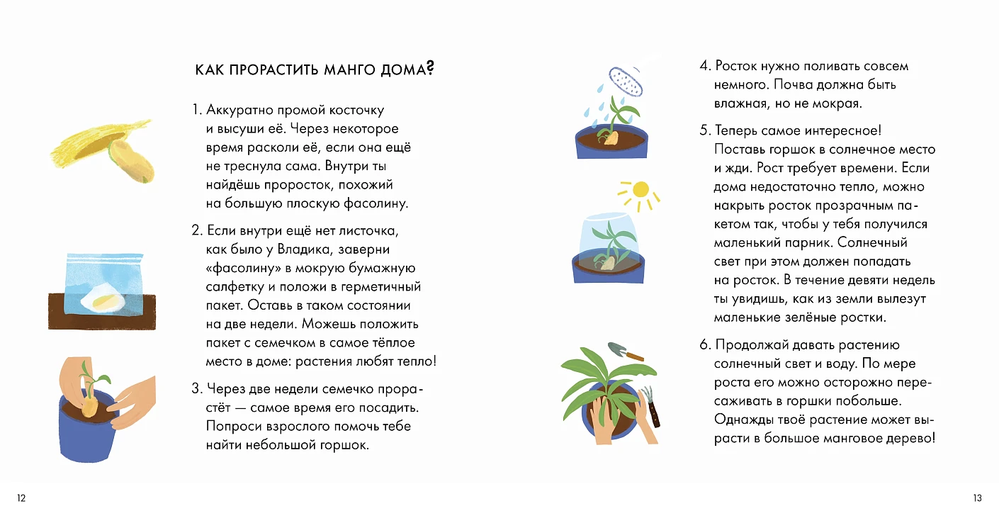 Иллюстрация из книги