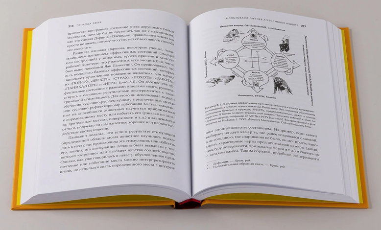 Иллюстрация из книги