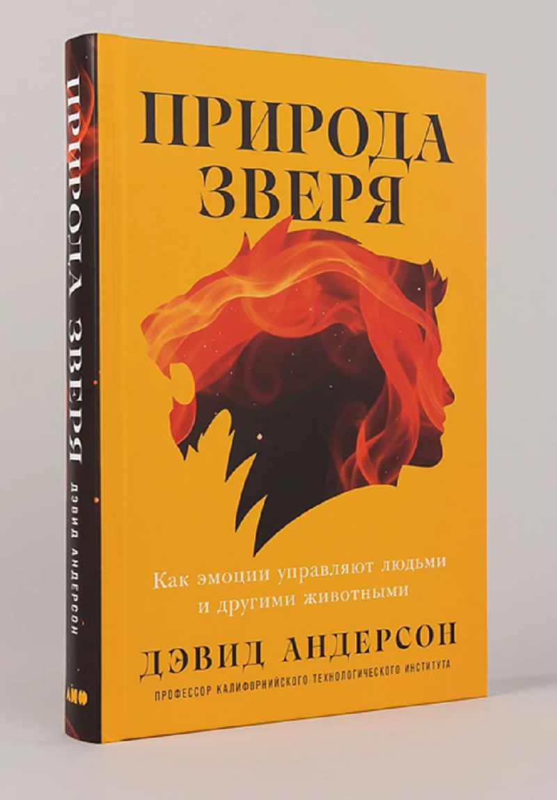 Иллюстрация из книги