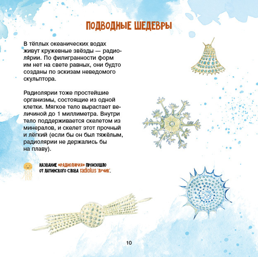 Иллюстрация из книги