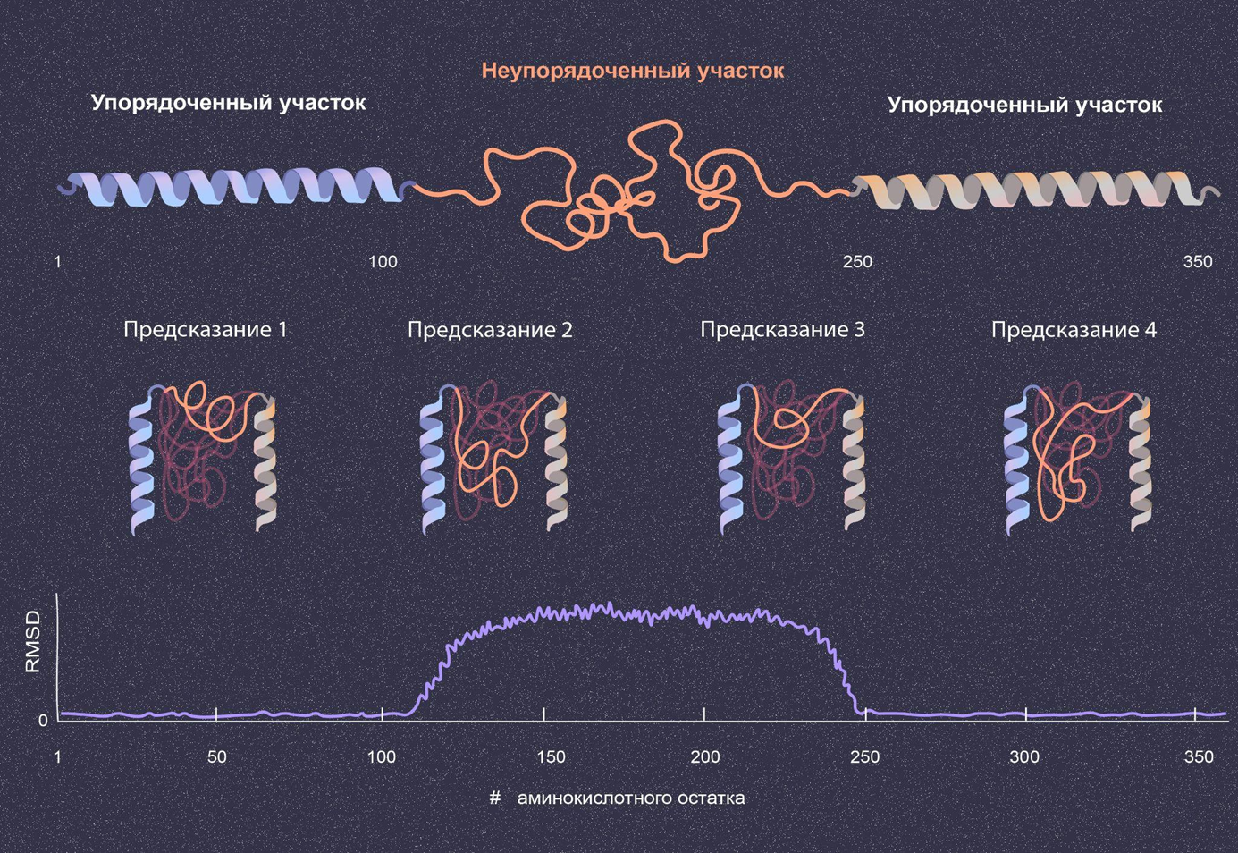 . Во всех ли случаях последовательность четко определяет структуру? Не во всех