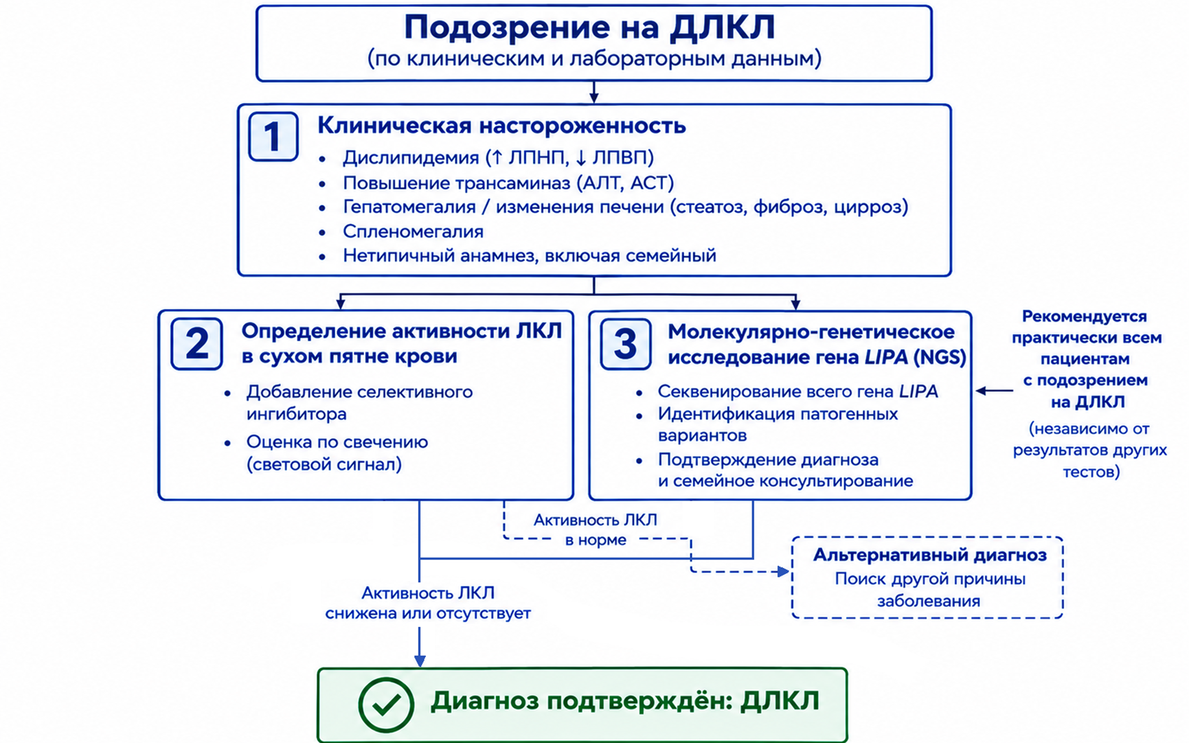 Алгоритм диагностики ДЛКЛ у пациентов с подозрением на заболевание