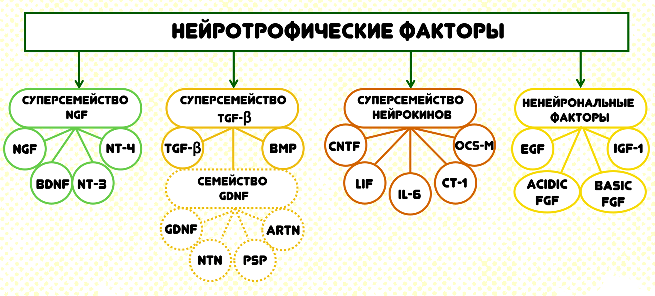 Классификация нейротрофических факторов