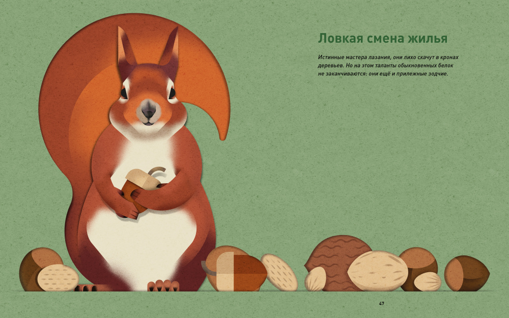 Иллюстрация из книги