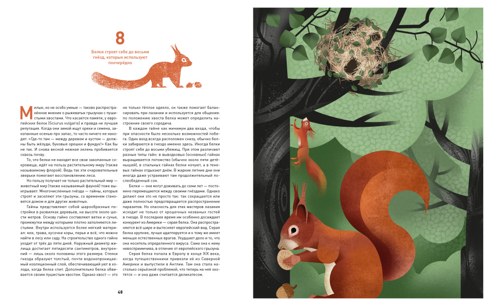 Иллюстрация из книги