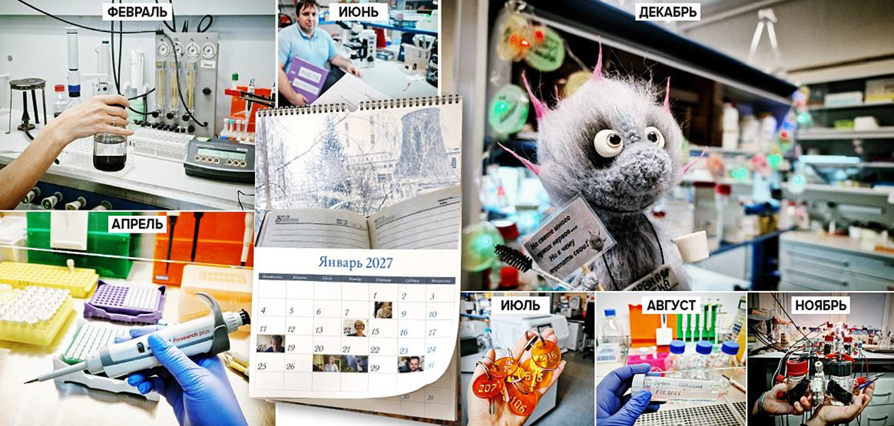 Фотографии из календаря лаборатории метаболизма экстремофильных прокариот на 2026 год