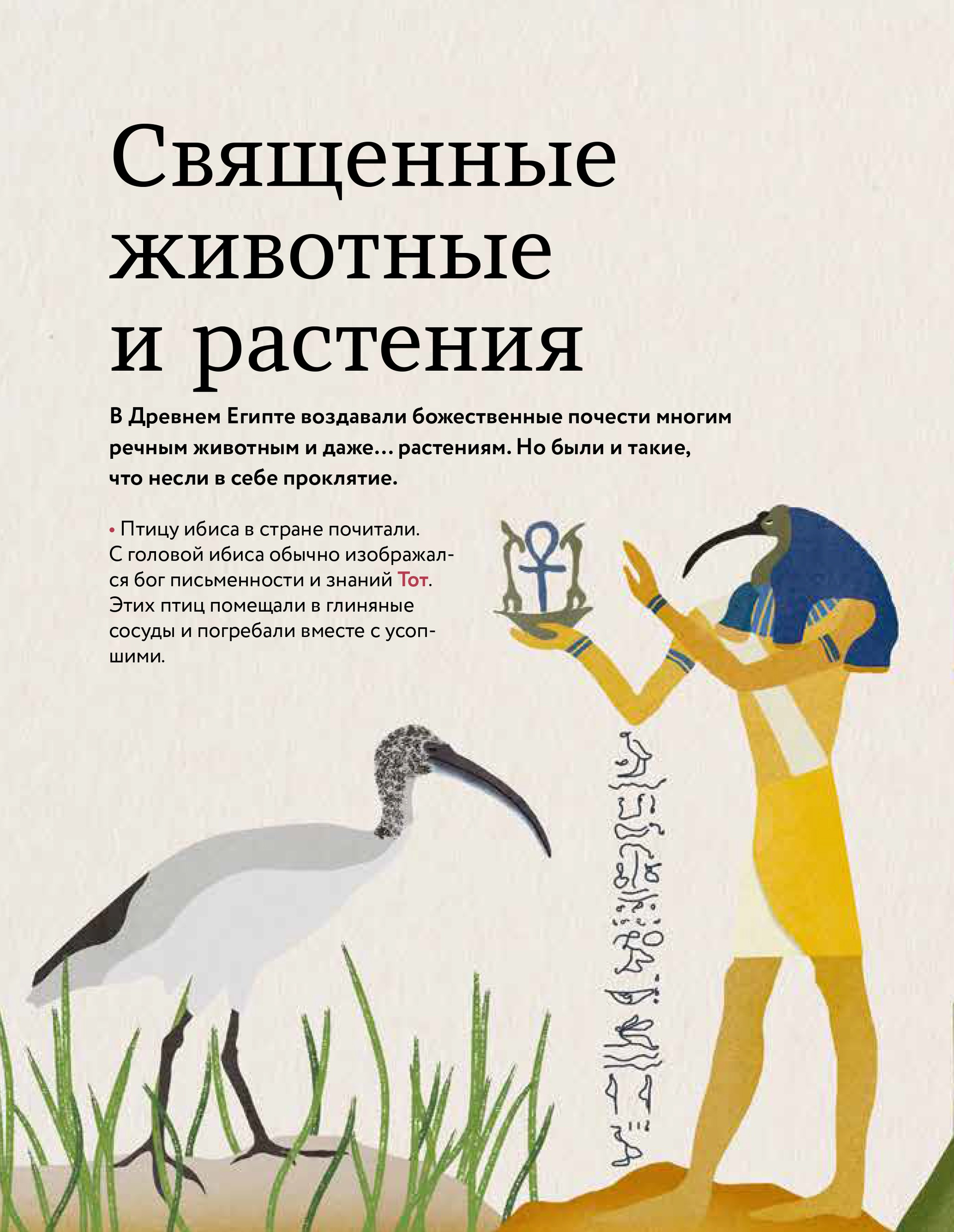 Иллюстрация из книги