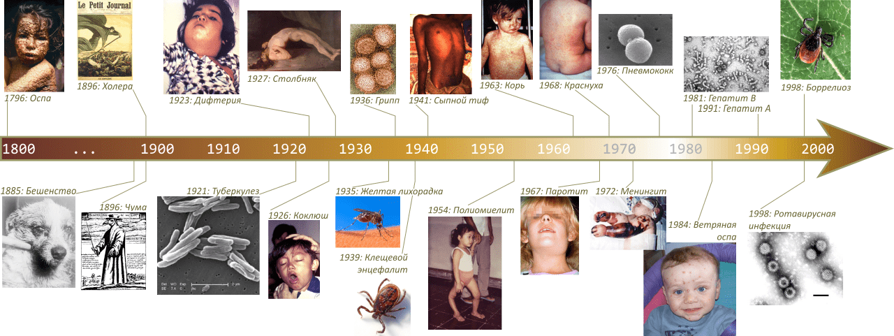 Хронология создания вакцин
