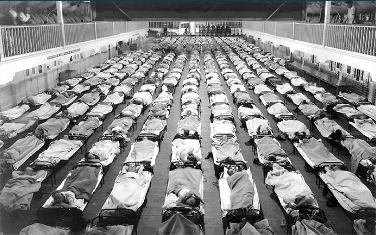 Пандемия гриппа 1918–1919 гг.
