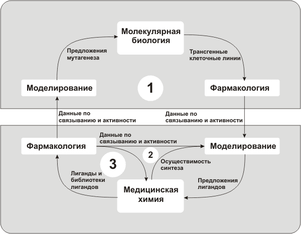 Фармакологический цикл