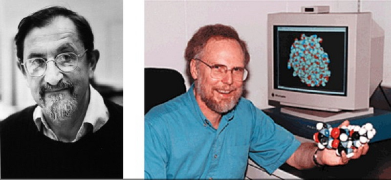 Мартин Карплюс и Эндрю Маккаммон Мартин Карплюс и Эндрю Маккаммон