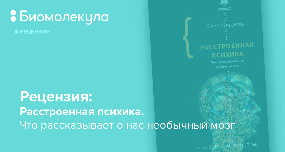 Расстроенная психика что рассказывает о нас необычный мозг эрик кандель книга