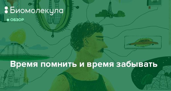 Картинка помнить и не забывать