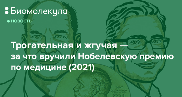 Доказательство того, что медицина действительно работает