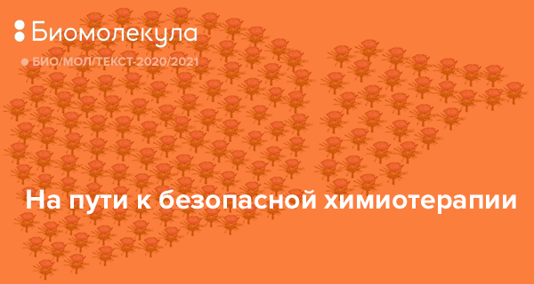 2020 текст. Конкурс био/мол/текст. «Био/мол/текст»-2021/2022. Биомолекула Елена Белова. Научно популярный конкурс био мол тест.