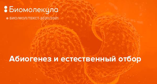 Биогенез и абиогенез презентация 9 класс