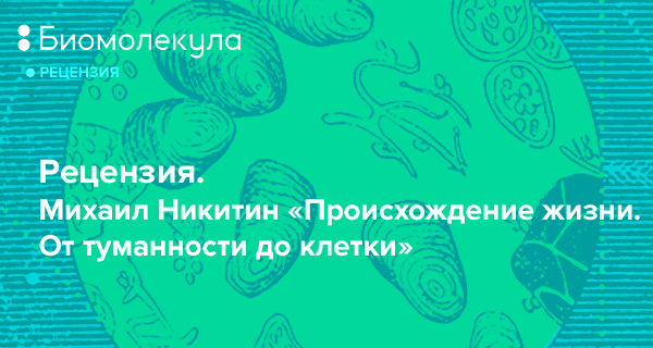 от туманности до клетки