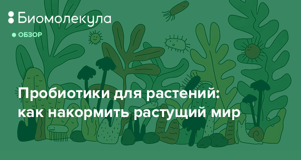 Расти мир. Травы пробиотики. Пробиотики Сибири. Пути повышения урожайности растений биология 9. Растимира.