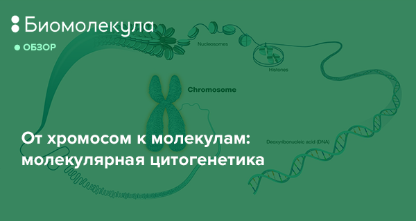 Cytotec generikum