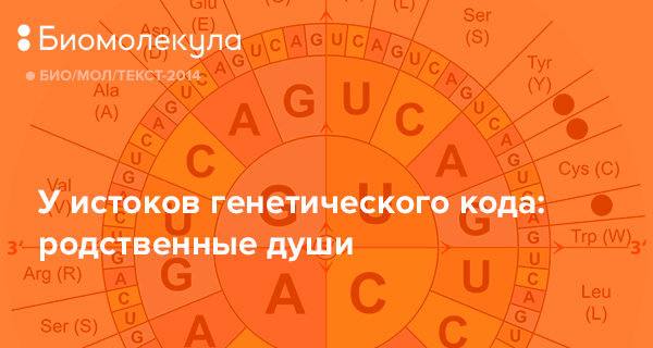 Это все от Луки. Нашли ли биологи настоящего «предка всего живого»