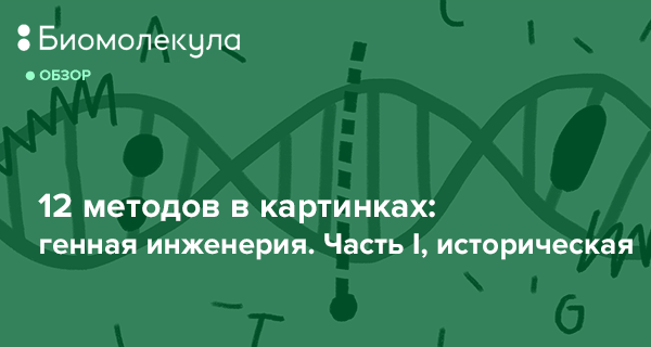 Биомолекула 12 методов в картинках