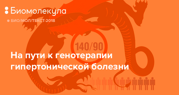 те мола текст