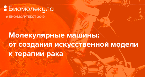 Создан «молекулярный молоток» для эффективного уничтожения раковых клеток
