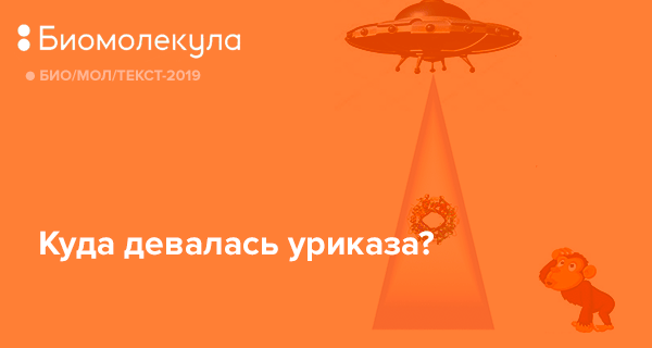 те мола текст