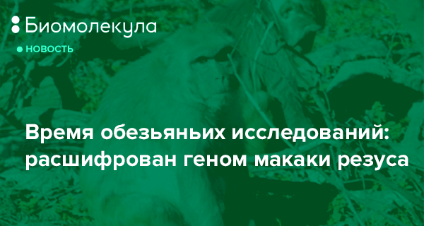 Image/photo
