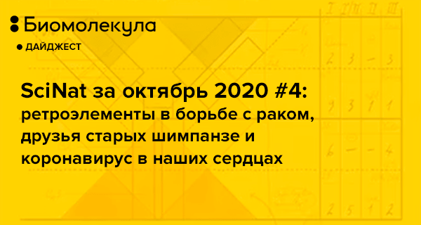 Колоректальный рак — профилактика, стадии, симптомы