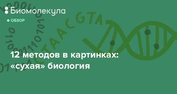 Биомолекула 12 методов в картинках