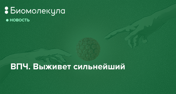 ВПЧ. Выживет сильнейший