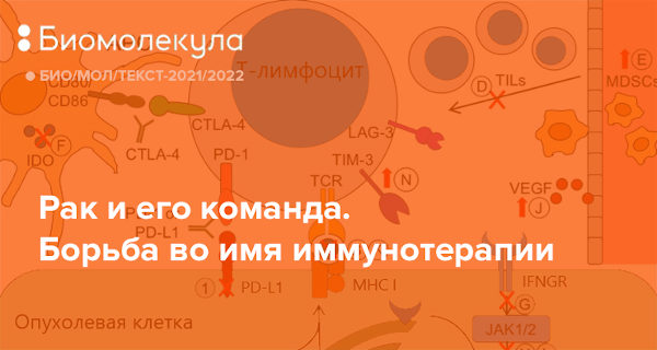 Как подтянуть оценки к концу четверти: гайд для старшеклассников