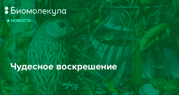 7 самых многообещающих вариантов воскрешения | Forbes Life