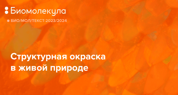 Пиоспермия (гной в сперме): причины, диагностика, лечение