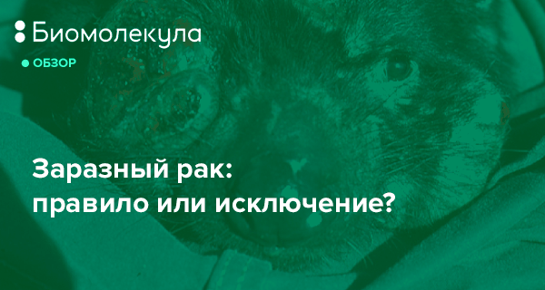 biomolecula.ru