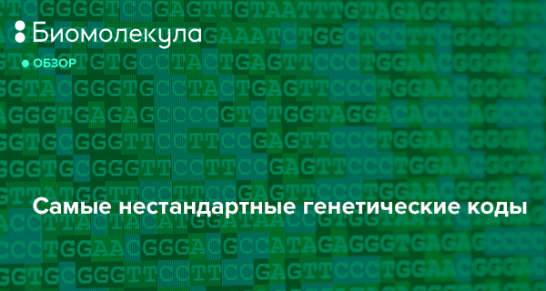 Большая пресс-конференция Владимира Путина