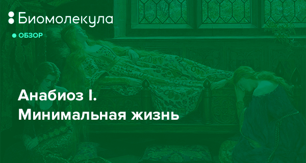 Проект анабиоз книги