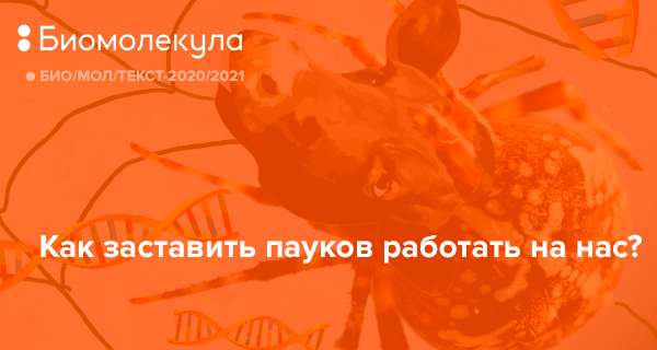 Как сделать костюм Человека-паука своими руками: 9 популярных способов