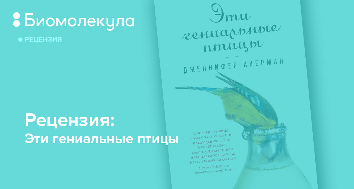 Соленая отрывок. Эти гениальные птицы книга. Акерман эти гениальные птицы. Эти гениальные птицы Дженнифер Акерман. Эти гениальные птицы отзывы.