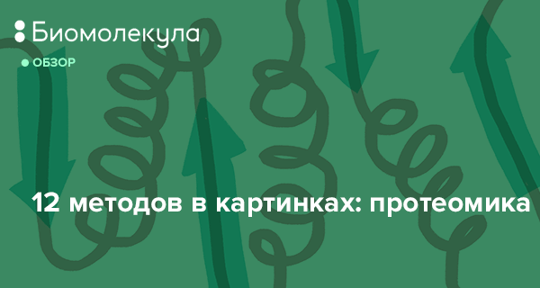 Биомолекула 12 методов в картинках