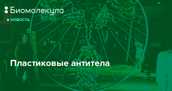 Пластиковые антитела