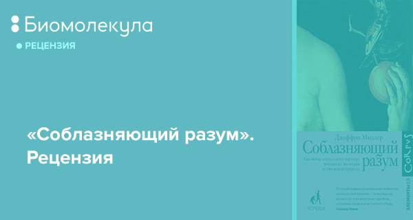 Соблазняющий Разум Джеффри Миллер Купить Книгу