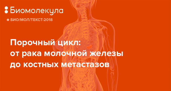 Сколько можно прожить с метастазами в позвоночнике и может ли прогноз быть позитивным