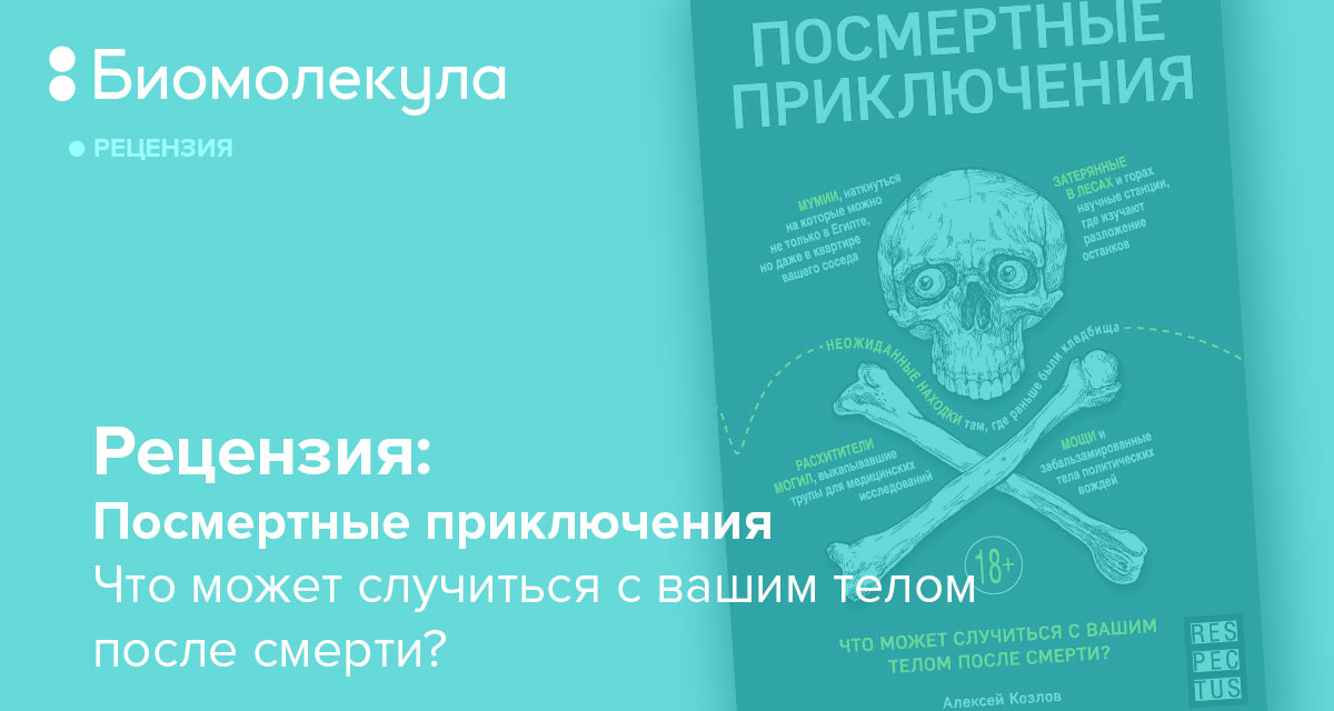 Посмертный анализ. Посмертные приключения что может случиться с вашим. Козлов Алексей Васильевич. Посмертные приключения:. Посмертные приключения книга Алексей Козлов. Мои посмертные приключения рецензия.