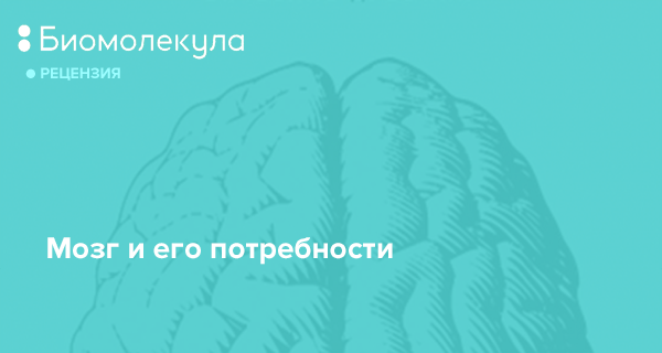 Вячеслав Дубынин: «Мозг и его потребности. От питания до признания ...