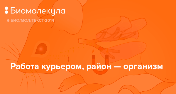 пой же пой на проклятой гитаре есенин стих. пирролизин аминокислота. те мола текст. научная статья био. Te molla arnon feat killua.