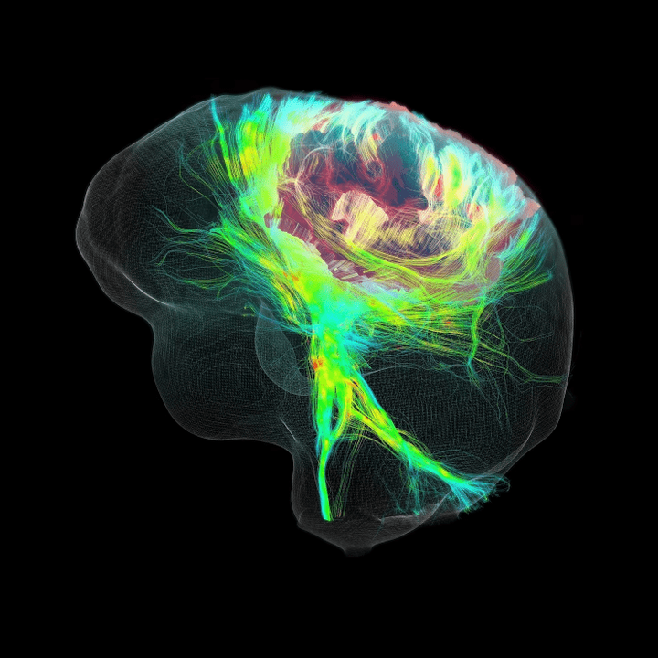 Паразит-виртуоз: раковая опухоль способна расти за счет активности мозга