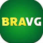 bravgvip1@gmail.com