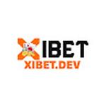 xibetdev dev
